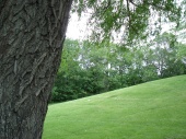 DSC08021.JPG